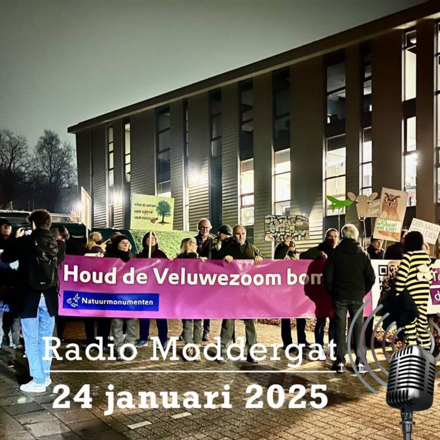 Radio Moddergat #163 – 2025-01-24