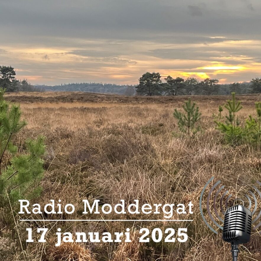 Radio Moddergat #162 – 2025-01-17