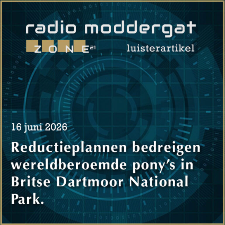 Luisterartikel – 2026-06-16