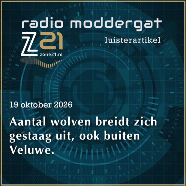 Luisterartikel – 2026-10-19